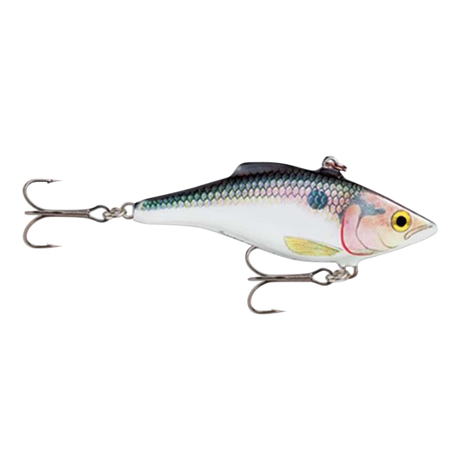 Rapala Rattlin Rap 2 3/4″ 1/2 Shad